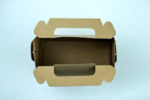 Eco Friendly Prints: Craft Disposable Brown Paper Boxes Disposable Takeaway Kraft Paper Fast Food Containers