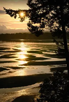 Pacific Ocean Prints: Craig Bay Sunrise Vancouver Island
