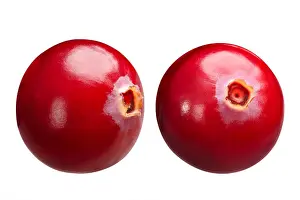Cranberry Prints: Cranberries (fruits of Vaccinium oxycoccus), single berries