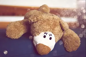 Favorite Prints: Crazy Teddy bear lying on the bed. Kids toys