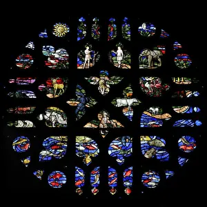 Hippopotamus Prints: The Creation, West window, Giggleswick School Chapel, Settle, North Yorkshire, England