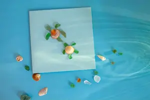 Imaginative Prints: Creative turtle shape made from sea glass and seashell on blue background