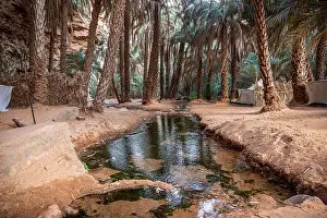 Berber Prints: Creek among palms in Terjit Oasis, Adrar Region, Mauritania