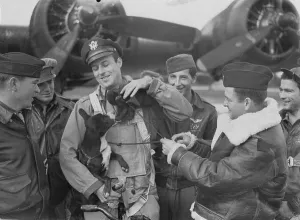 Aircrew Prints: The crew of the 390th Bomb Group of the United States Eighth Air Force in Britain