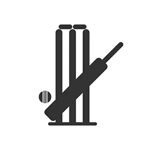 Wicket Prints: Cricket bat ball stump bails icon