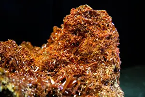 Poison Prints: Crocoite mineral from Tasmania, Adelaide mine, Dundas