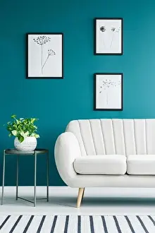 Cropped photo of a white sofa in living room interior with metal table with a plant and paintings on the green wall