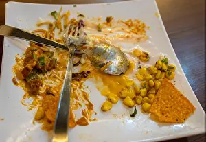 Crockery Prints: crossed spoon and fork on empty plate symbolizing finished meal