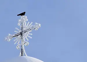 Sainte Apolline Prints: A crow on the cross of the church, Sainte-Apolline, Québec, Canada