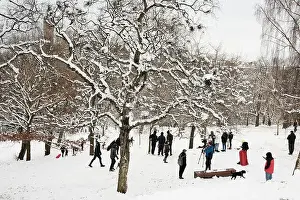 Glasgow Scotland Prints: Crowds in Kelvingrove Park in the snow. February 9th 2021. (Glasgow, west-end)