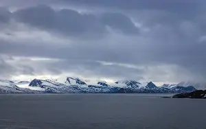 Kolony Prints: Cruising in the Hamiltonbukta on Spitsbergen and driving along glacier und bird watching