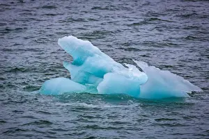 Groenlandsee Prints: Cruising in the Hamiltonbukta on Spitsbergen and driving along glacier und bird watching