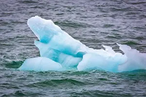 Groenlandsee Prints: Cruising in the Hamiltonbukta on Spitsbergen and driving along glacier und bird watching