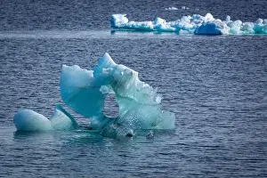 Kolony Prints: cruising on Svalbard between Spitsbergen and Nordaustlandet anlong with some small icebergs