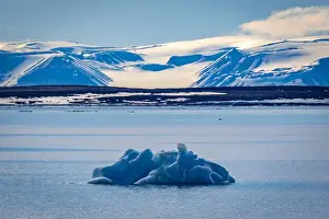 Kolony Prints: cruising on Svalbard between Spitsbergen and Nordaustlandet anlong with some small icebergs