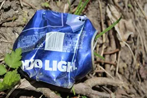 Litter Prints: Crushed Bud Light beer can with vegetation at Camp Ground Road Woods in Des Plaines