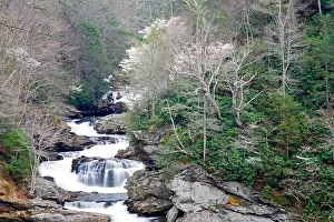 Appalachia Prints: Cullasaja Falls in spring, Mounain Water Scenic Byway US 64 and NC 28, North Carolina