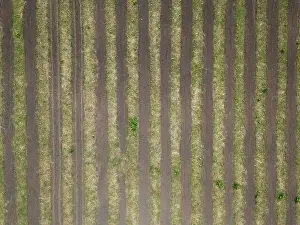 Cultivated dry agricultural field lines road aerial drone top view texture background
