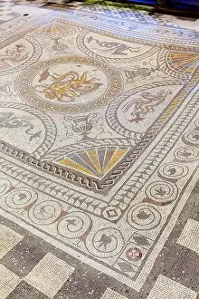Cupid Prints: Cupid on a Dolphin mosaic on display at Fishbourne Roman Palace