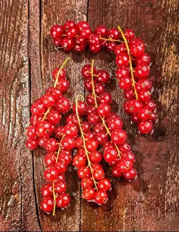 Directly Above Prints: currants, currant