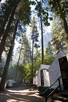 Curry Village in Yosemite National Art Prints, Posters