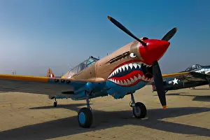 Idaho Prints: A Curtiss P-40E Warhawk on display at the Warhawk Air Museum, Nampa, Idaho