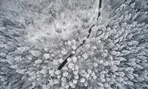 Winter Forest Prints: Curve shape rural road in winter landscape above top drone view