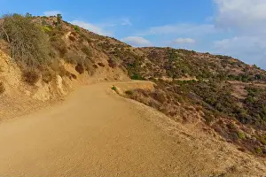 Winding Road Prints: Curved dirt path winding through the hills of Griffith Park