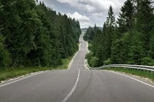 Images Dated 23rd July 2021: Curvy mountain road serpentine in green summer forest. Ukraine, Carpathian mountains