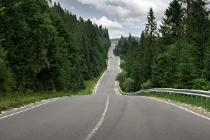 Curvy mountain road serpentine in green summer forest. Ukraine, Carpathian mountains. Landscape photography