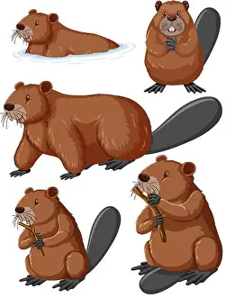 Eps10 Prints: Cute Cartoon Beaver Collection illustration