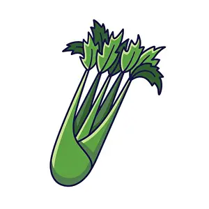 Celery Prints: Cute Celery cartoon icon illustration