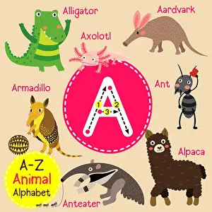 Alligator Prints: Cute children zoo alphabet A letter tracing of funny animal cartoon for kids learning English vocabulary