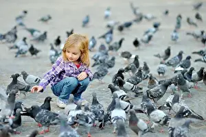 Chase Prints: Cute little girl feeding and chasing birds on Dam Square in Amsterdam on summer day