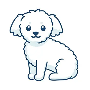 Cute Dog Prints: Cute little white fluffy dog. Bichon puppy drawing, simple vector illustration