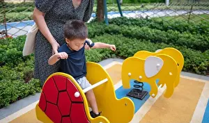 Baby Boy Prints: A cute two year old baby boy has fun playing on a colorful swing in the park