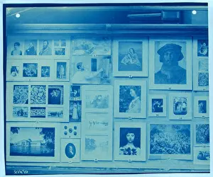 Smithsonian Institution Prints: A cyanotype photograph from the Smithsonian Institution