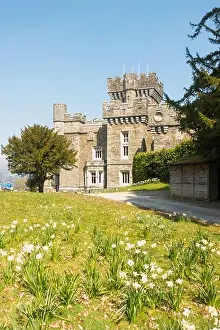 Listed Building Prints: Daffodils in bloom at Wray Castle, Low Wray, Cumbria, England, UK