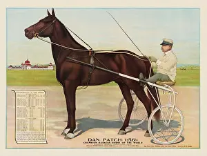 Harness Prints: Dan Patch 1:56 1/4