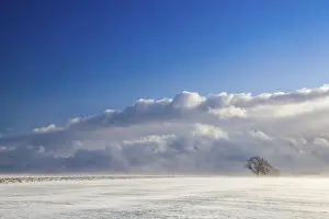 Wintery Prints: Danger snowstorm in the empty landscape