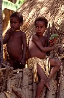 Irian Jaya Prints: Dani children in their village Bolokme Baliem valley Irian Jaya Indonesia