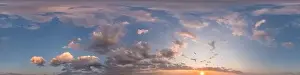Dark blue sunset sky panorama with pink Cumulus clouds