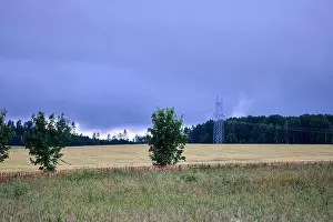 Agricultural Land Prints: Dark clouds loom above golden fields while trees stand peacefully alongside power lines in a remote countryside setting