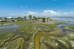 Sea Island Prints: Dark Island, Big Bend Sea Grasses Aquatic Preserve, Florida