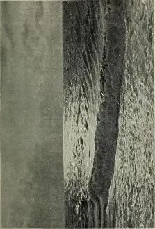 Bookyear1906 Prints: Das Meer; geographische