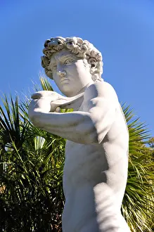 Atlantic Coast Prints: David, a replica of the Michelangelo statue