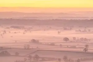 Typically Prints: Dawn over the mist shrouded countryside of the Somerset Levels in winter