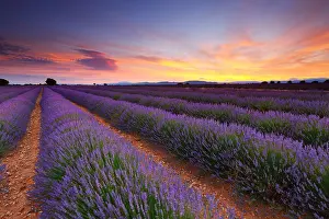 Nature Landscape Prints: day4yf