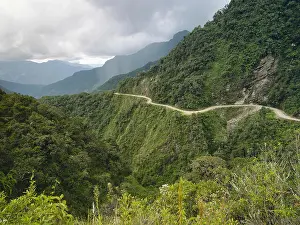 Bolivia Prints: The Death Road - the most dangerous road in the world, North Yungas, Bolivia