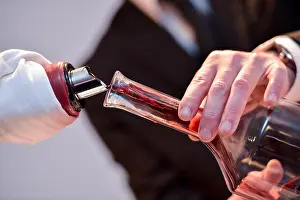 Waiter Prints: Decanting red wine - transferring wine to a carafe